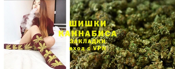 Альфа ПВП Елизово