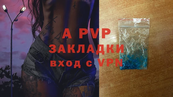 Альфа ПВП Елизово