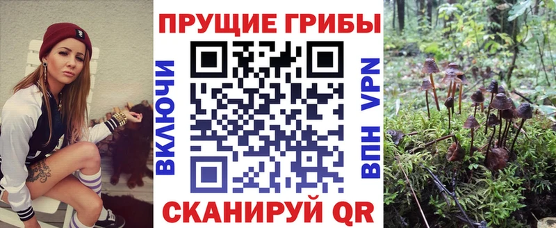 Псилоцибиновые грибы Psilocybine cubensis  магазин    Струнино 